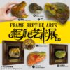 AHB Frame Reptile Arts - Common Snapping Turtle – Chelydra serpentina | Turtle