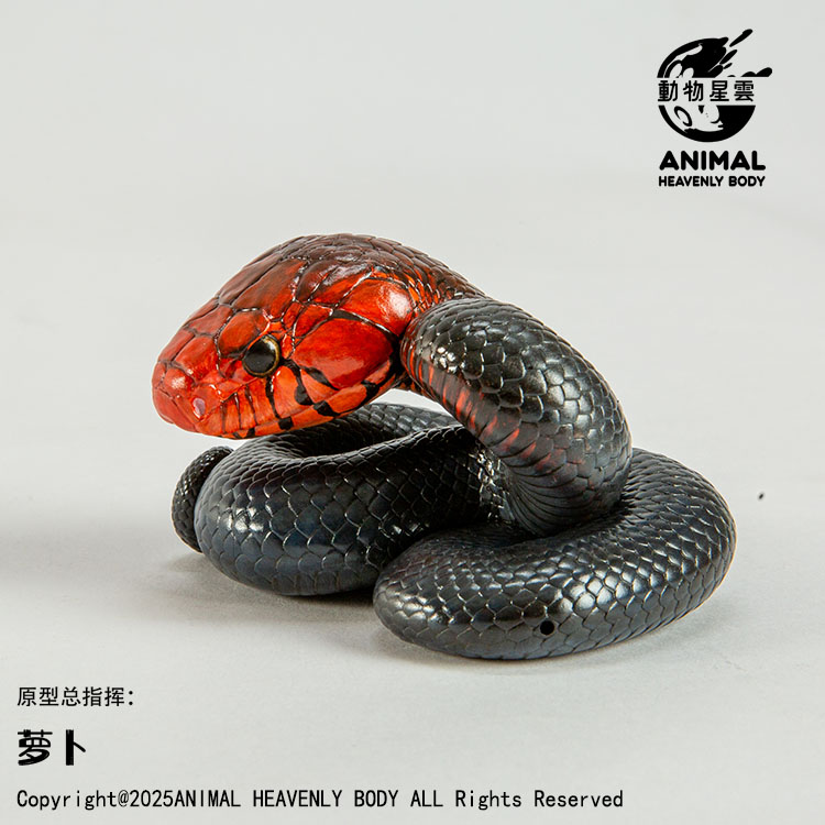 AHB Series 26 - Eastern Indigo Snake – Drymarchon couperi | Snake