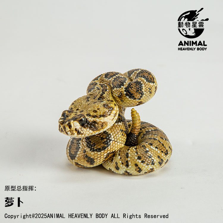 AHB Series 26 - Eastern Diamondback Rattlesnake – Crotalus adamanteus | Snake