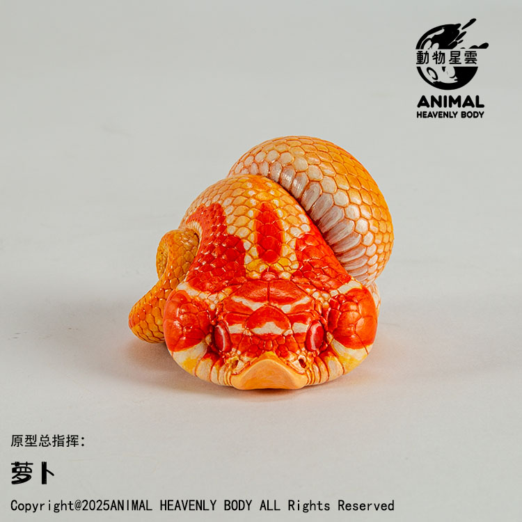 AHB Series 26 - Western Hognose (Extreme Red Albino Superconda) – Heterodon nasicus | Snake