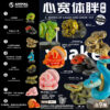 AHB Series 26 - Green Anaconda – Eunectes murinus | Snake