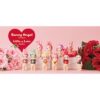 Sonny Angel — Gifts of Love 2024 Blind Box | Dreams