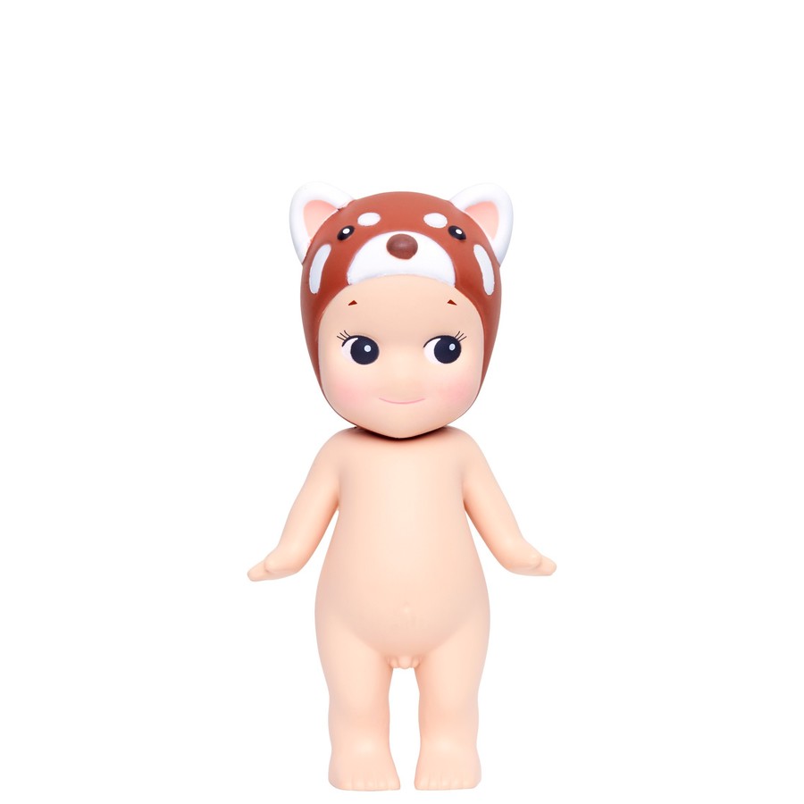 Lesser Panda