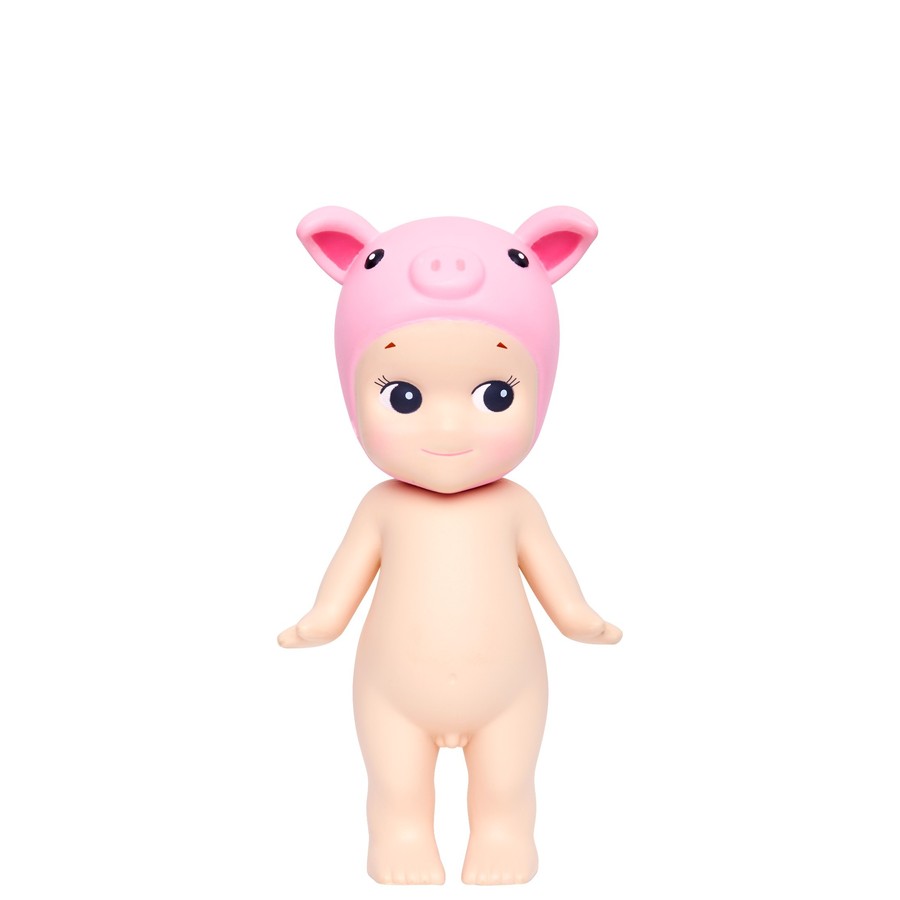 Pig