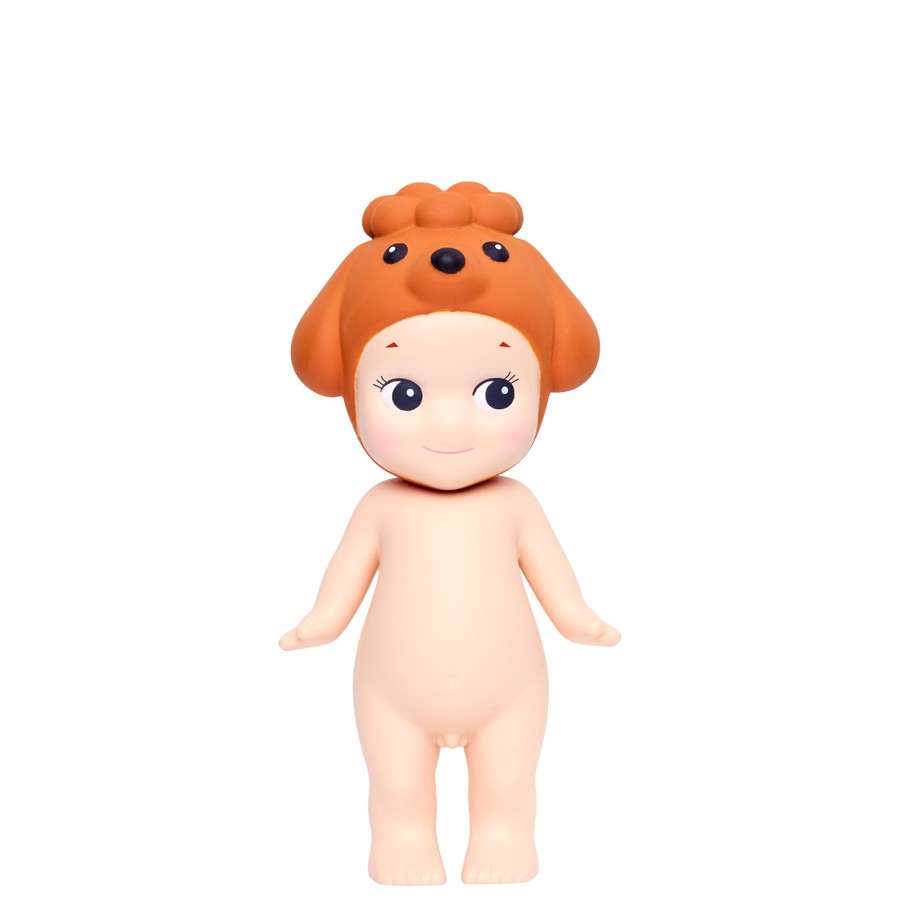 Toy Poodle
