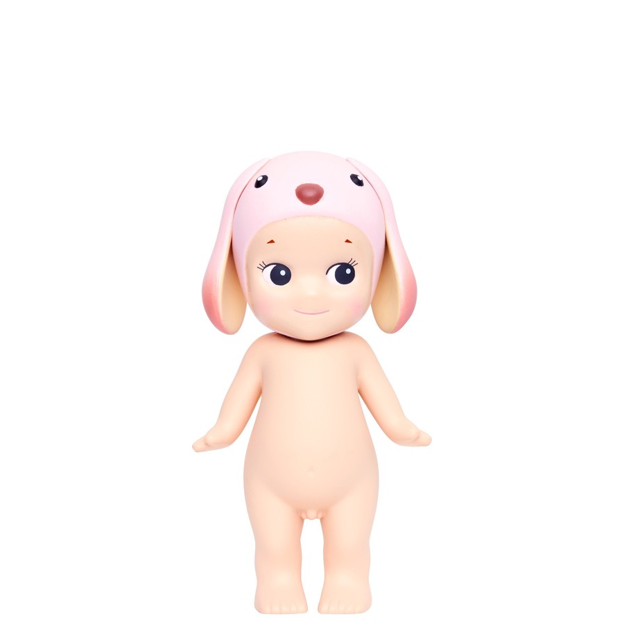 Lop Ear Rabbit