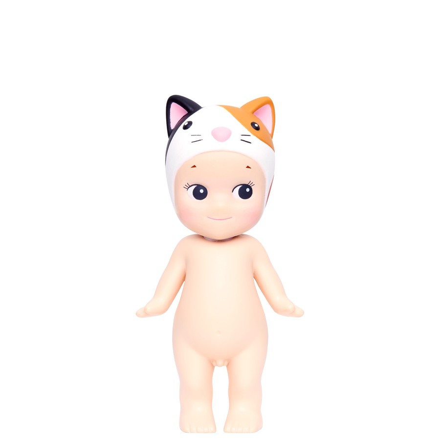 Calico Cat