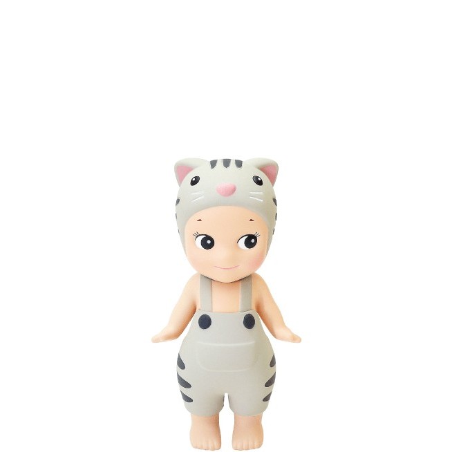 Silver tabby