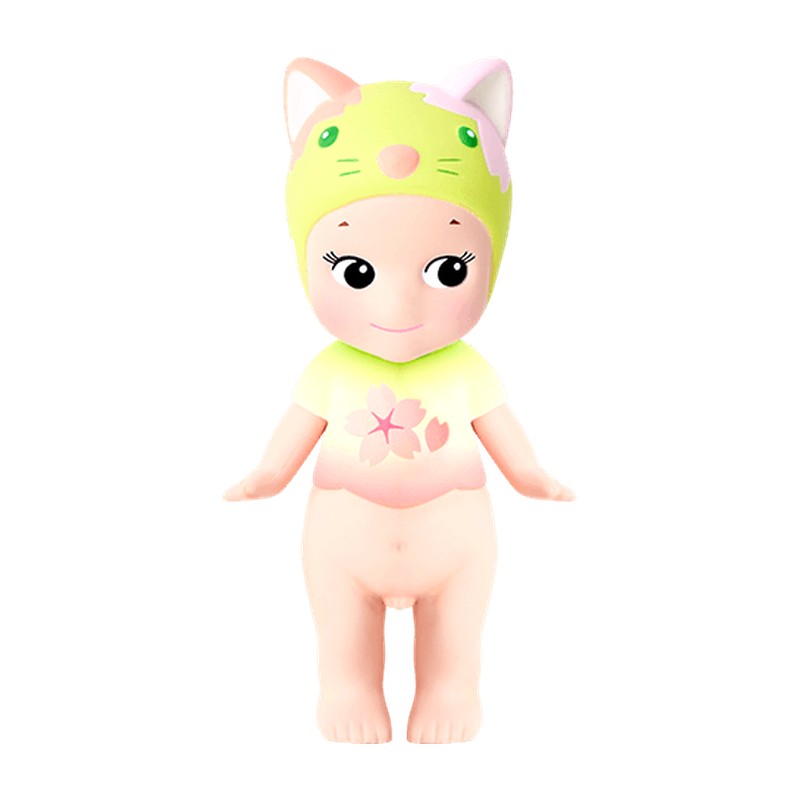 Calico Cat
