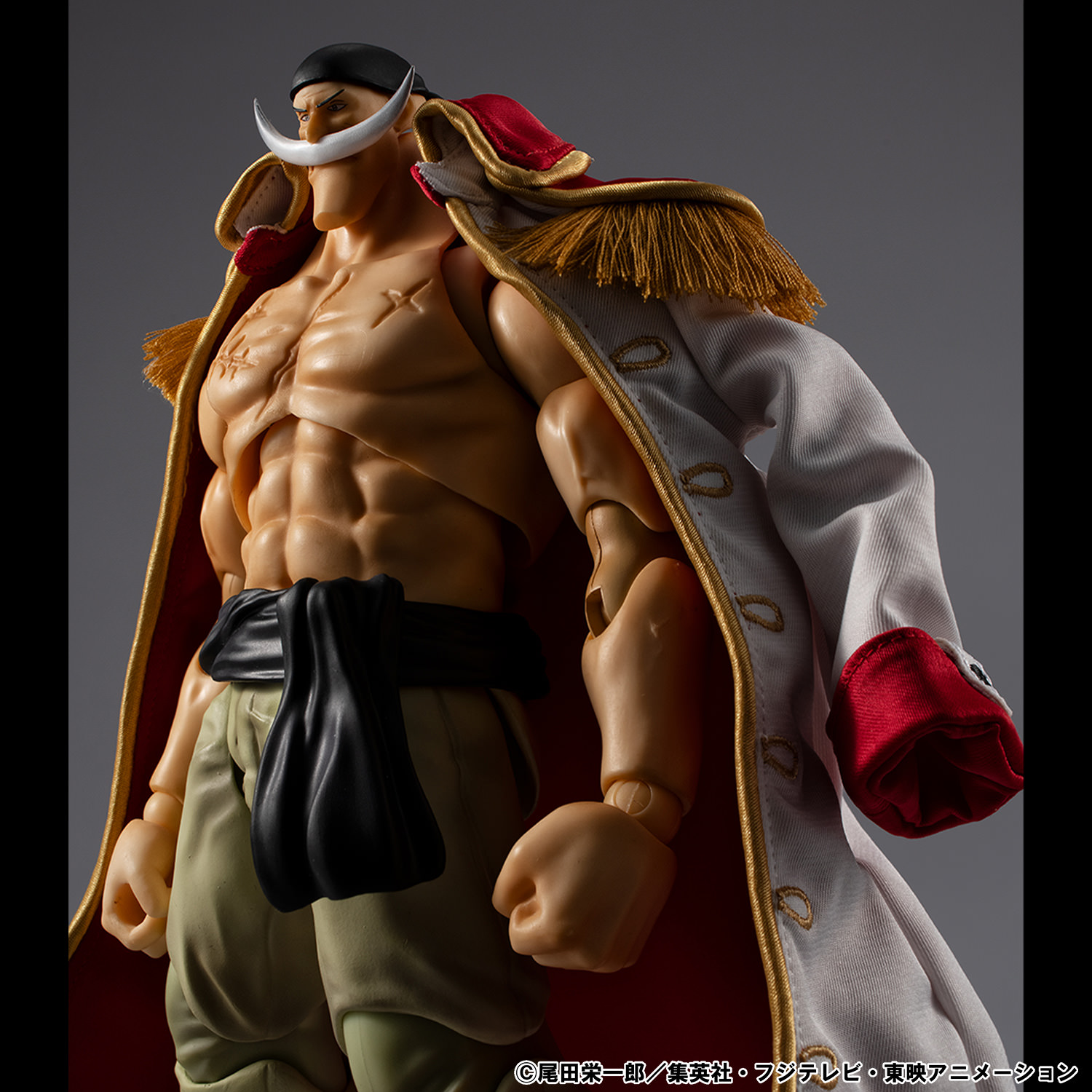 "Whitebeard" Edward Newgate Ver.1.5 Action Figure by MegaHouse