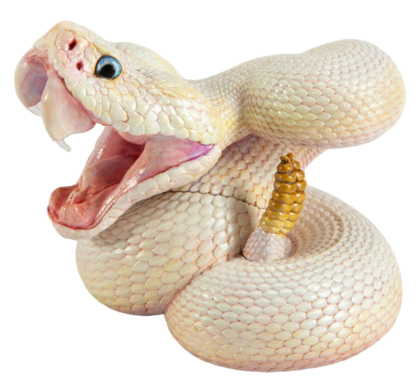 AHB-V26-H-01 AHB Series 26 - Eastern Diamondback Rattlesnake (Blue-Eyed Leucistic) – Crotalus adamanteus | Snake