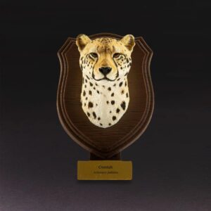 Cheetah