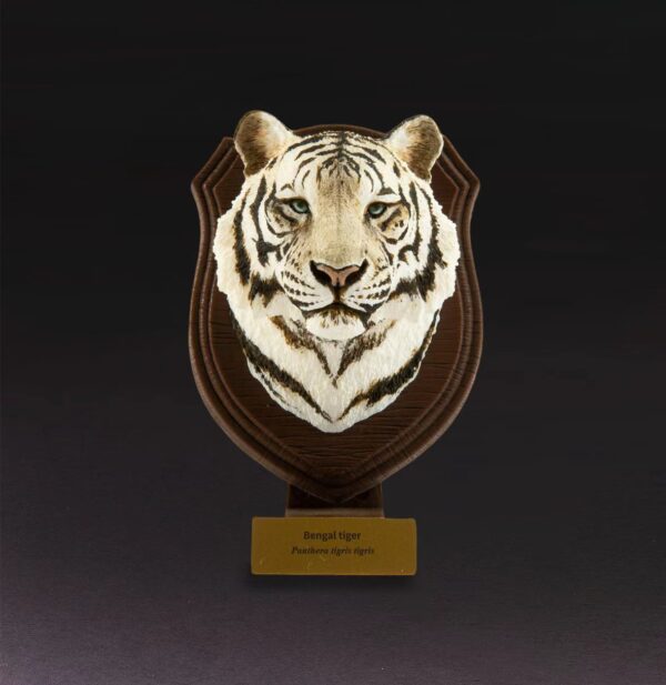 Animal Heavenly Body - World Encyclopedia of Animals Vol.3 Bengal Tiger | Figure