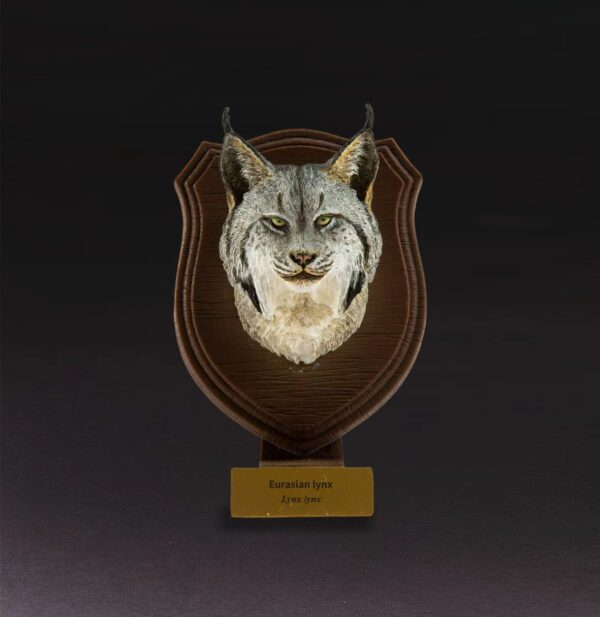 AHB-WA03-06-01 Animal Heavenly Body - World Encyclopedia of Animals Vol.3 Eurasian Lynx | Figure