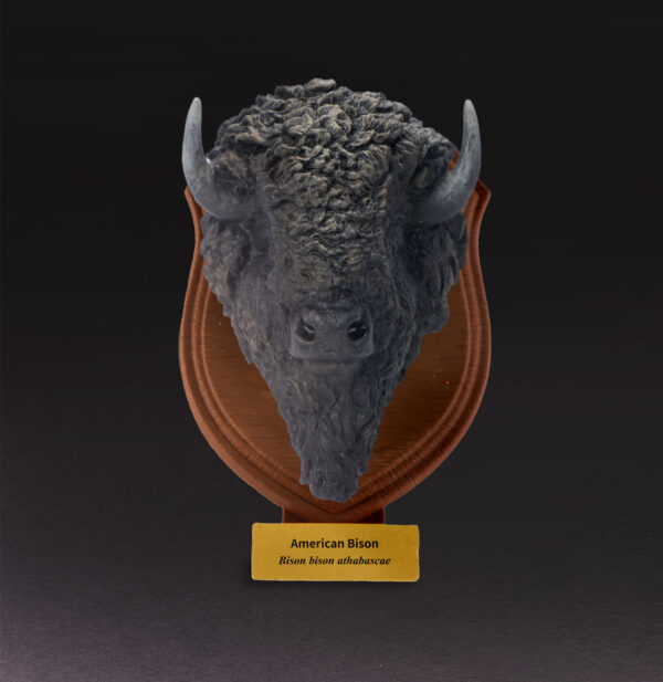 AHB-WA04-01-01 Animal Heavenly Body - World Encyclopedia of Animals Vol.4 American Bison | Figure