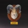 Animal Heavenly Body - World Encyclopedia of Animals Vol.4 Bighorn Sheep | Figure