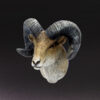 Animal Heavenly Body - World Encyclopedia of Animals Vol.4 Bighorn Sheep | Figure
