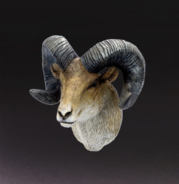 Animal Heavenly Body - World Encyclopedia of Animals Vol.4 Bighorn Sheep | Figure