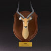 AHB-WA04-03-01 Animal Heavenly Body - World Encyclopedia of Animals Vol.4 Impala | Figure