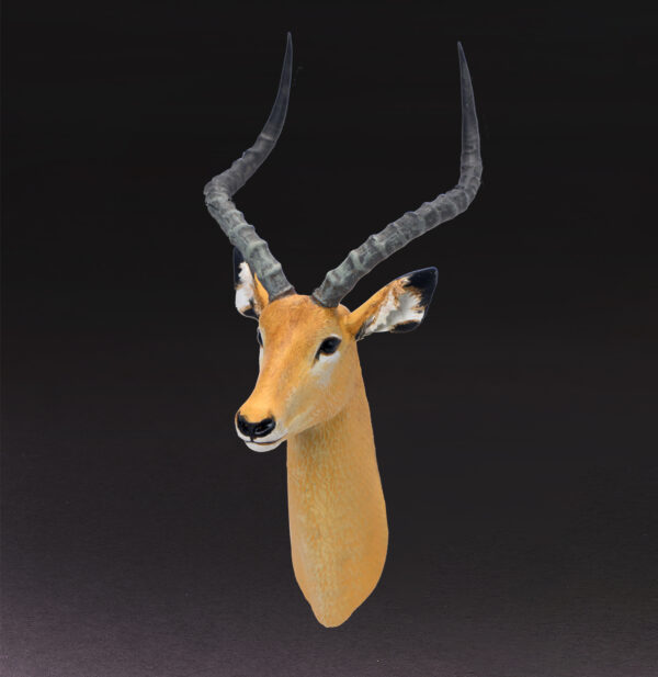 AHB-WA04-03-02 Animal Heavenly Body - World Encyclopedia of Animals Vol.4 Impala | Figure
