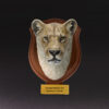 Animal Heavenly Body - World Encyclopedia of Animals Vol.4 Female African Lion | Figure