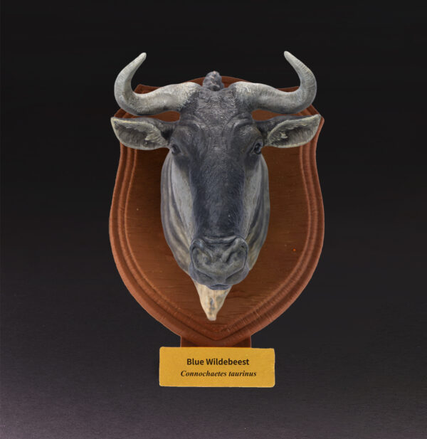 AHB-WA04-05-01 Animal Heavenly Body - World Encyclopedia of Animals Vol.4 Blue Wildebeest | Figure