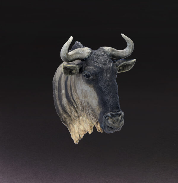 AHB-WA04-05-02 Animal Heavenly Body - World Encyclopedia of Animals Vol.4 Blue Wildebeest | Figure
