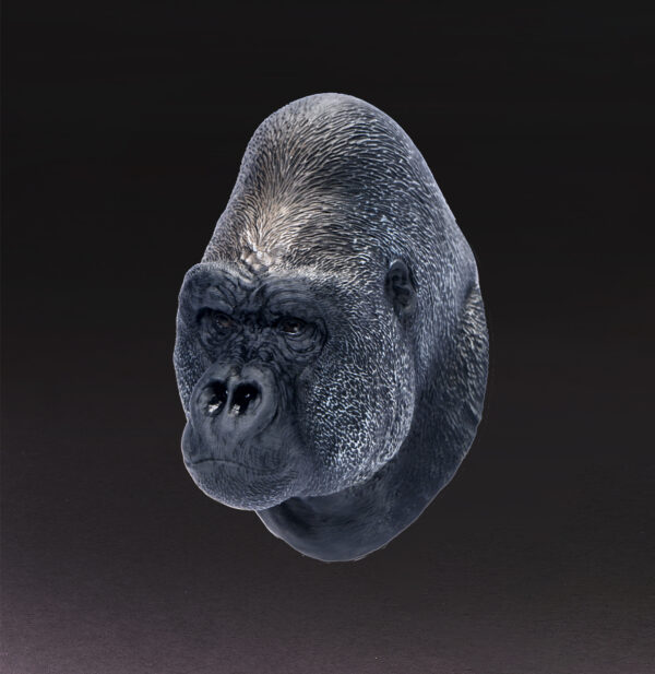 AHB-WA04-06-02 Animal Heavenly Body - World Encyclopedia of Animals Vol.4 Mountain Silverback Gorilla | Figure