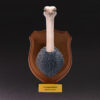 AHB-WA04-07-01 Animal Heavenly Body - World Encyclopedia of Animals Vol.4 Common Ostrich | Figure