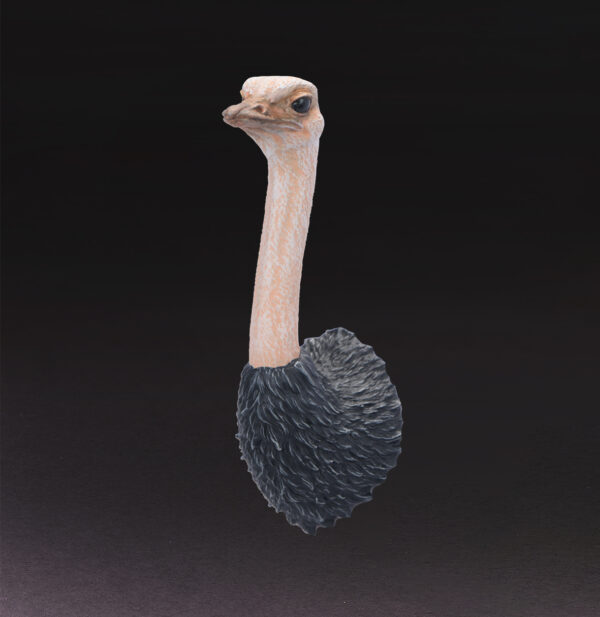 AHB-WA04-07-02 Animal Heavenly Body - World Encyclopedia of Animals Vol.4 Common Ostrich | Figure