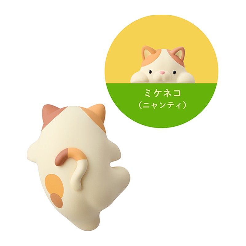 Calico Cat