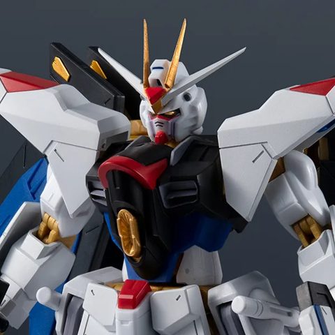 GUNDAM UNIVERSE ZGMF-X20A STRIKE FREEDOM GUNDAM RENEWAL